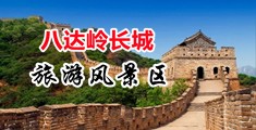 国产91日本免费观看高清中国北京-八达岭长城旅游风景区